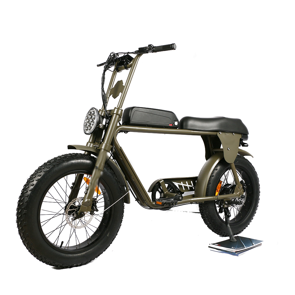 Dual Motor Electric Motorcycle Frame - 最安値 デュアルモーター 電動自転車 大人用 アルミ合金フレーム ディスクブレーキ