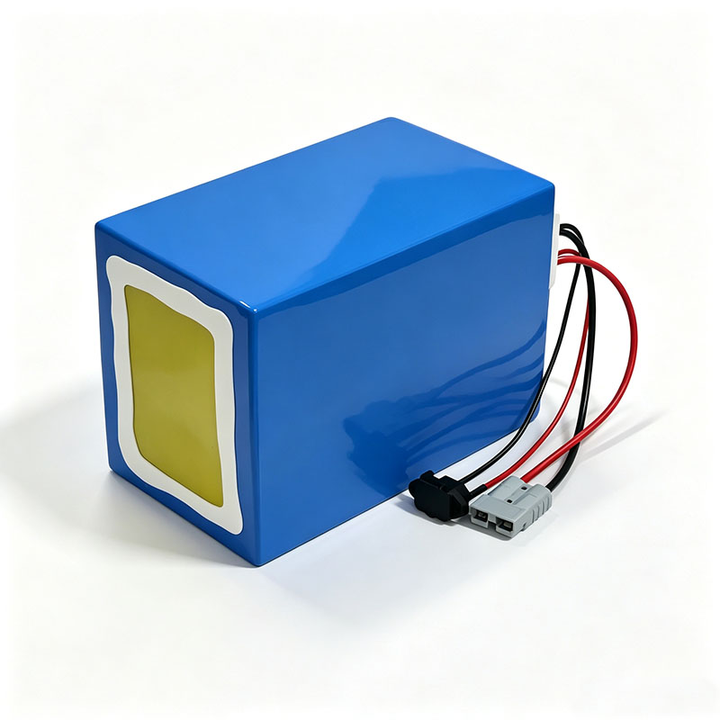 リチウム LiFePO4 72V 50Ah 60Ah 40A - 72V 60Ah Lifepo4 Battery Pack のレビューと価格